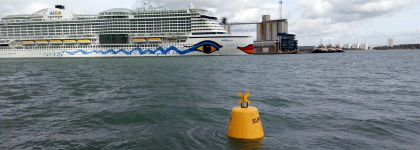 Waterbird monitoring in Southampton Water