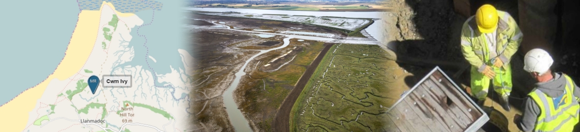 Habitat creation collage