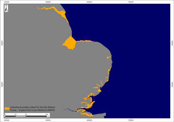 A map showing the indicative boundary extension for the East Atlantic Flyway, from the Thames to the Humber