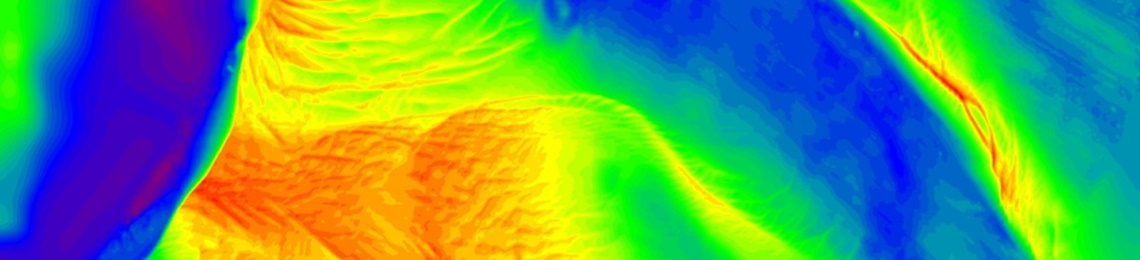 race bank processes model