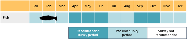 fish-survey-calendar.png