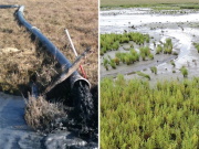 Feasibility studies for Solent Beneficial Use project