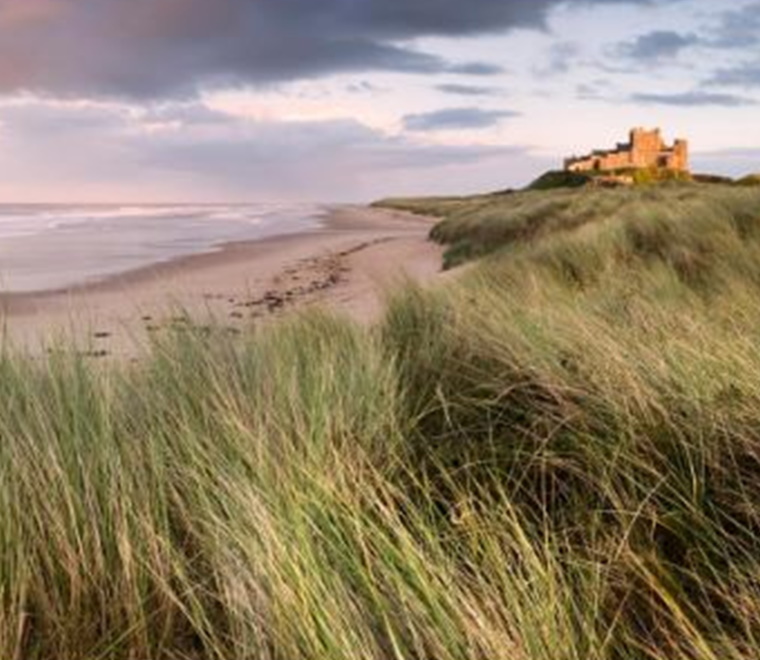 ABPmer reviews MMOs marine information system