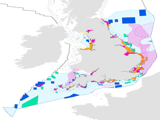 fish displacement map