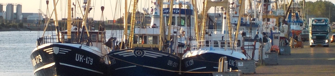 Dutch beam trawls