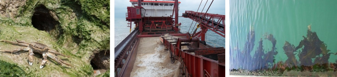 biosecurity-planning-collage (3).jpg