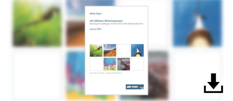 UK Offshore Wind Expansion White Paper