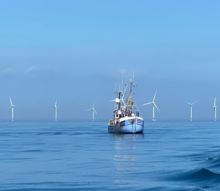 Major milestone in fisheries and offshore renewable energy cross-sector engageme