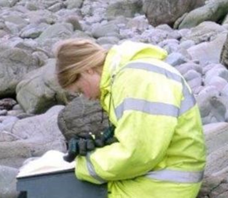 ABPmer identifies marine and coastal processes EIA survey good practice