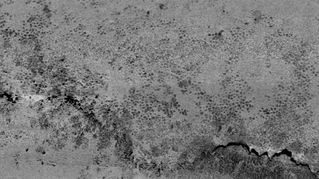 Backscatter imagery showing the presence of black bream nests