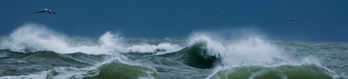 storm-barth-bailey (1)