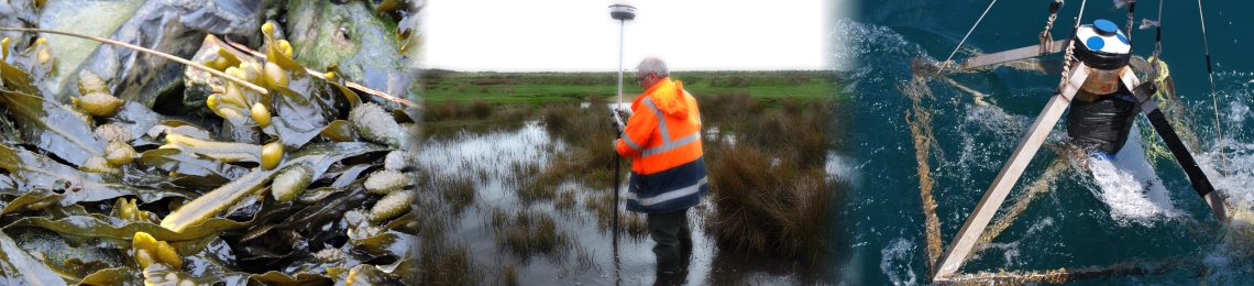 abpmer-spring-survey-collage (1)