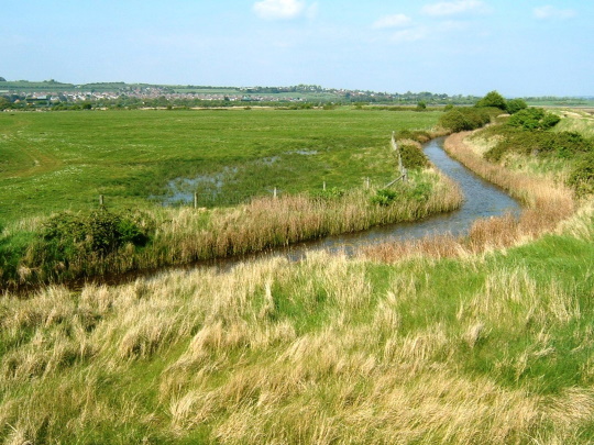 farlington marsh