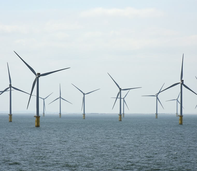 New EIA best practice guidance for Scottish Offshore Wind Farms