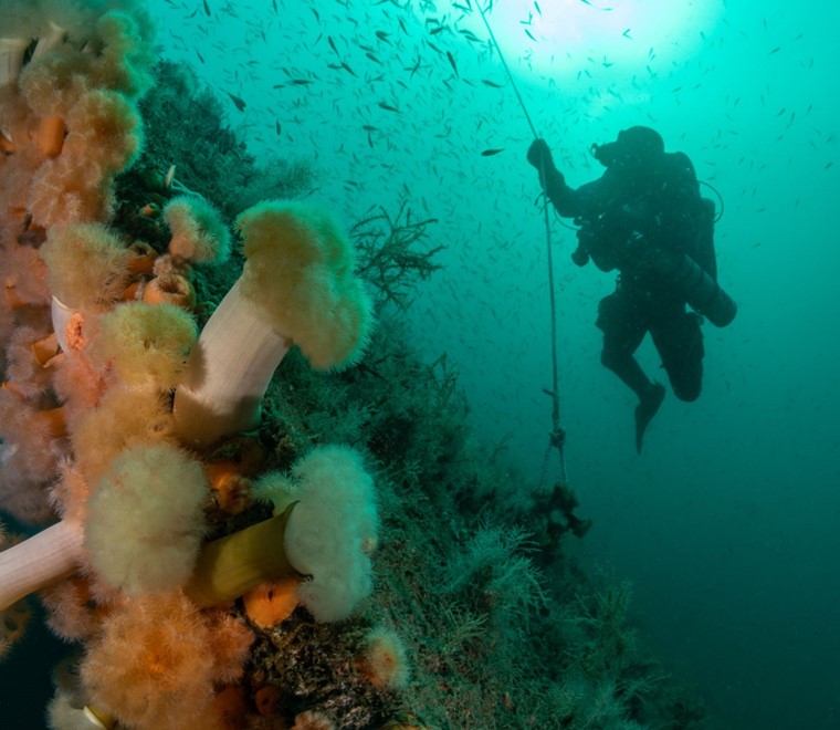 Marine Data Exchange Scottish expansion underway for UKs world-leading offshore 