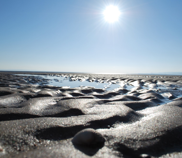 ABPmer to assess climate change vulnerability of Welsh Annex I marine features