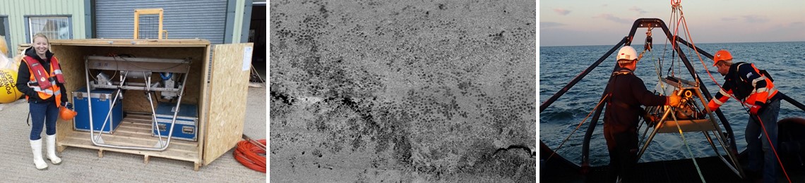 abpmer-bream-nesting-surveys (1)