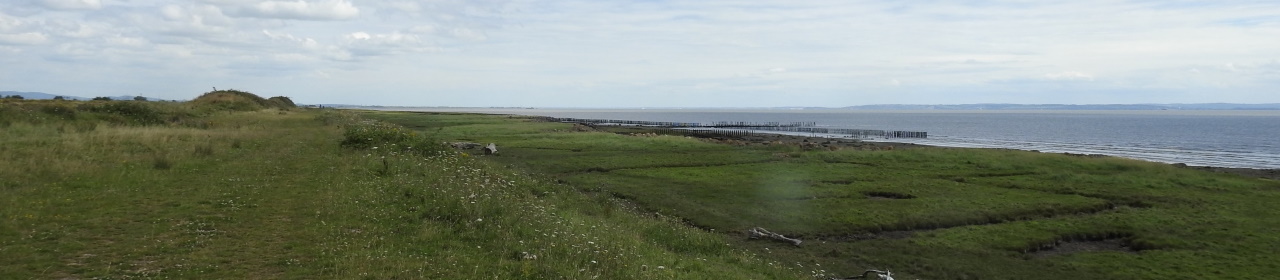 view-towards-polders-from-west-outfall (3)