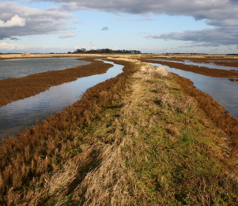 Medmerry managed realignment