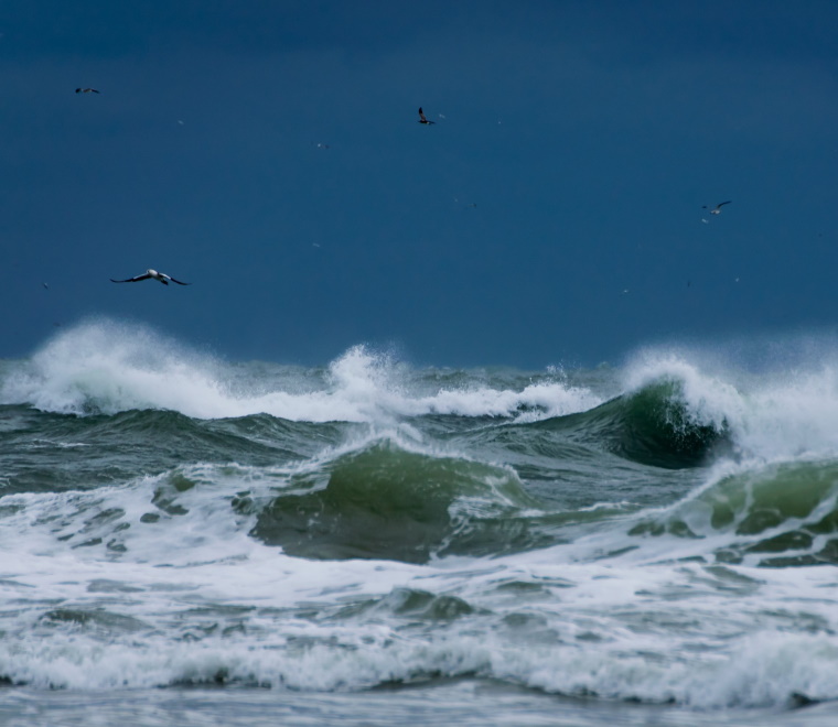 15 things that have gone rogue at sea