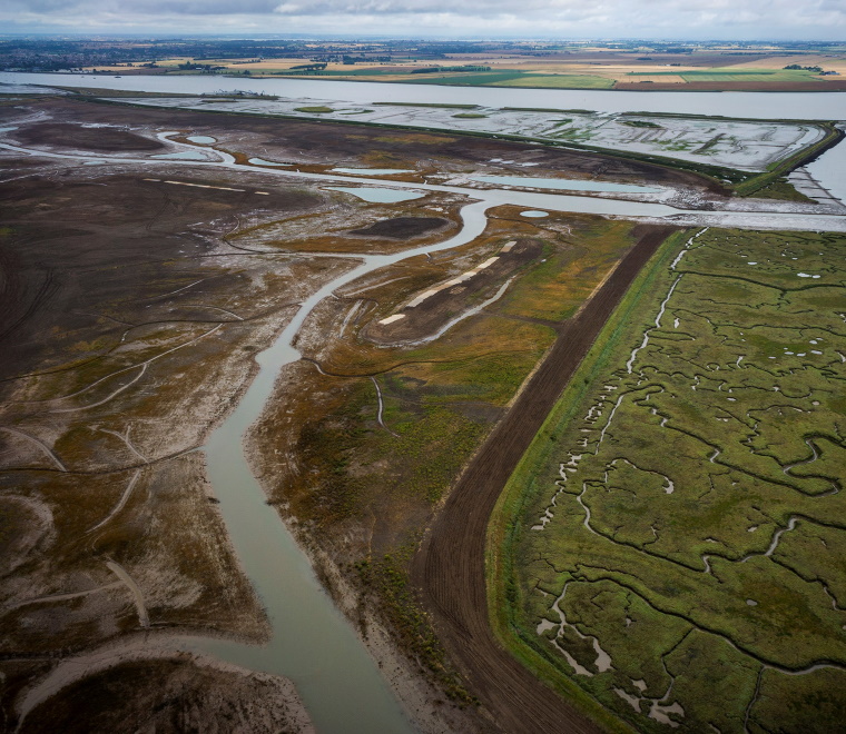 Habitat creation collage