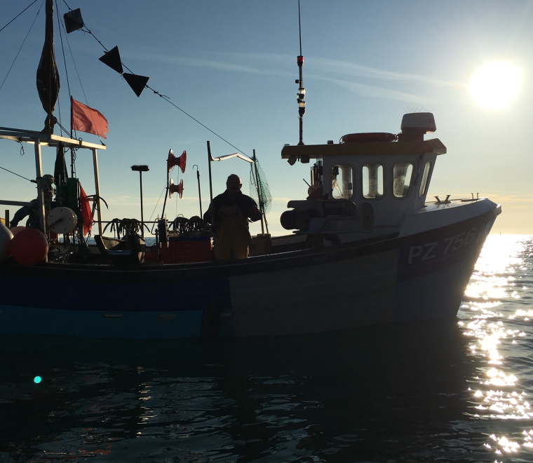 Evaluation of Inshore Fisheries and Conservation Authorities 