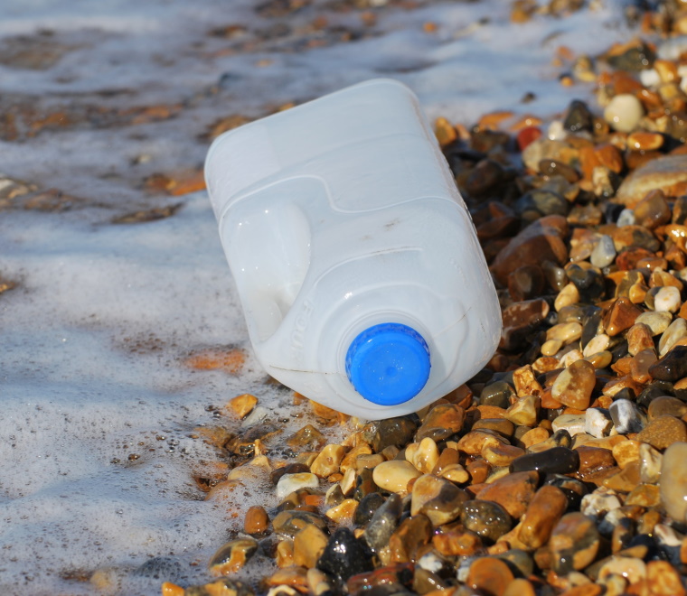Published Potential Impacts of Plastic on Marine Protected Species and Habitats
