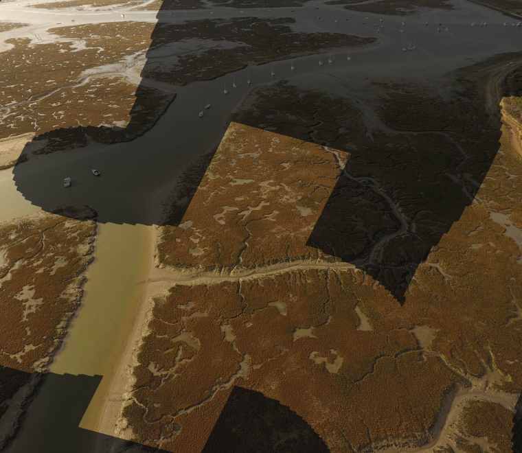 Lymington salt marsh