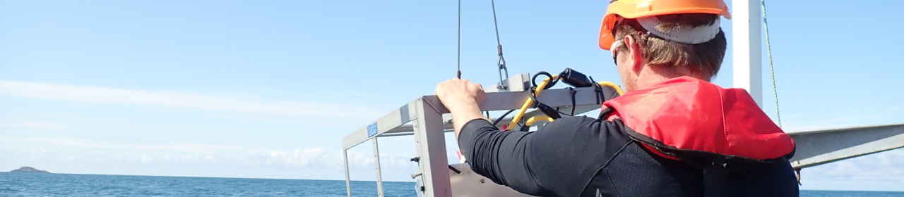 abpmer-survey-1280x280 (3)