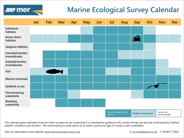 Marine Ecological Survey Calendar