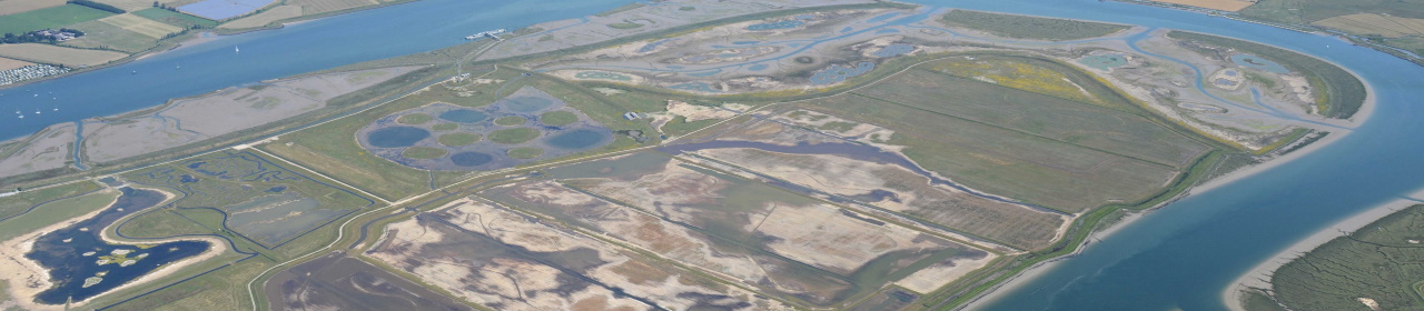 wallasea wild coast aerial