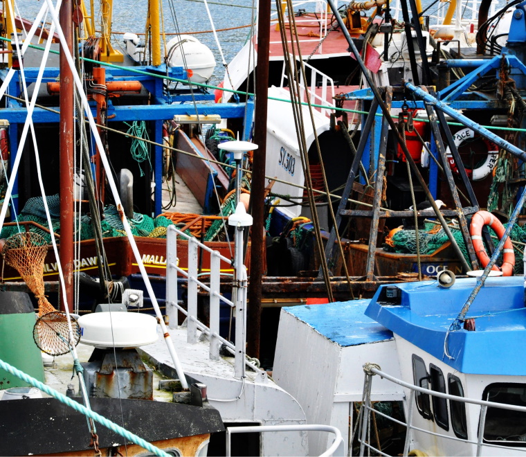 Report published - Impact of Alternative Fish Trade Agreements Post EU-Exit Asse